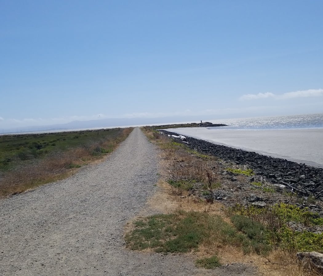 Hayward Regional Shoreline 5